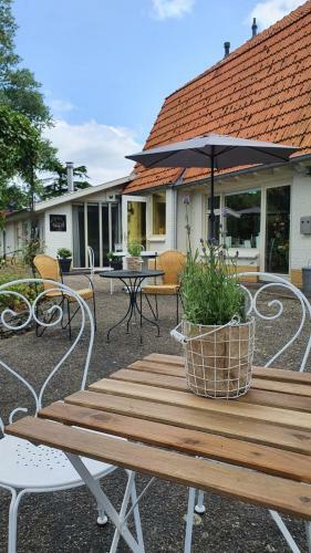 B&B Sagenland