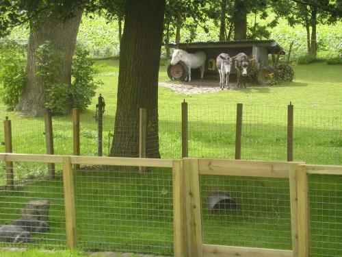 Agroturismo Lentemaheerd