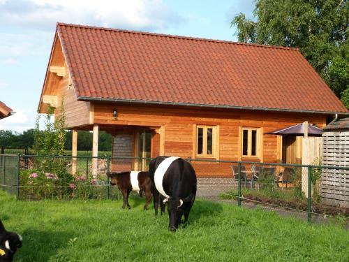 B&B De Lakenvelder