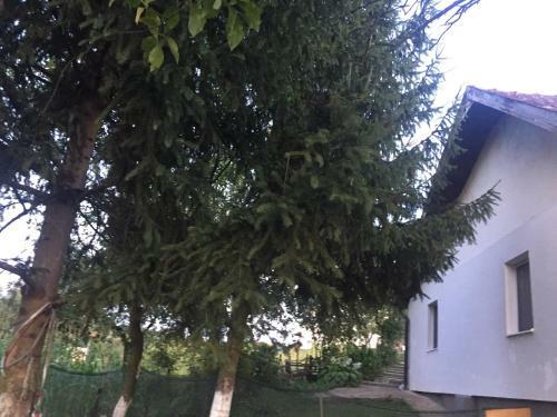 Apartamento Dolores