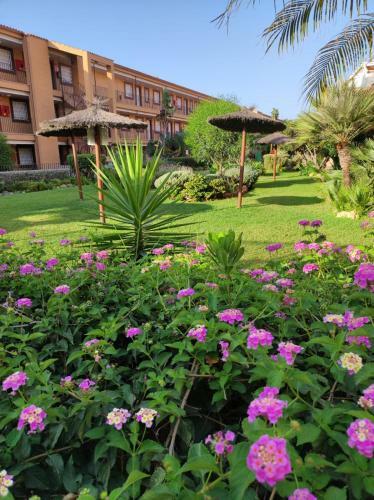 Apartamento Con Gran Terraza A 50 M De La Playa