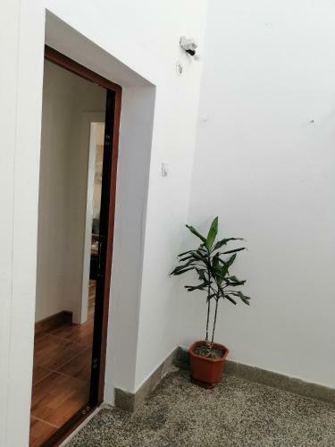 Apartman Eden No 1