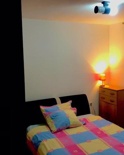 Apartman/stan Na Dan Tesli?