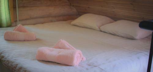 Purje Holiday Home