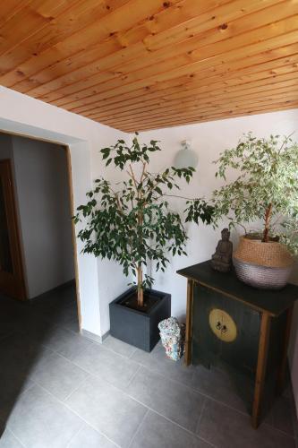 Apartamento G�stewohnung In Algermissen