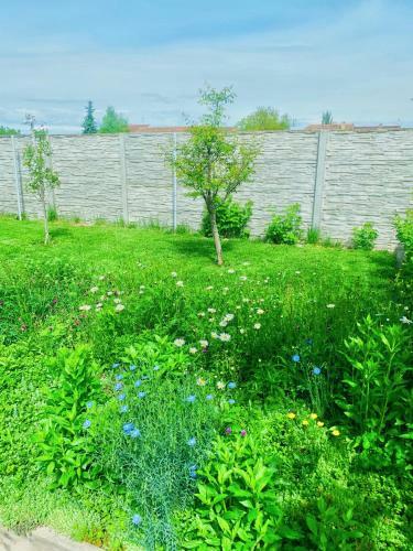 Apartm�ny Na Zahradn�