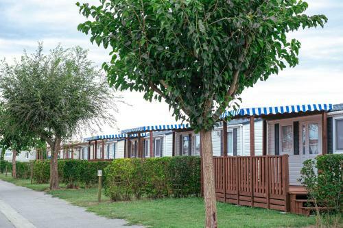 Albatross Mobile Homes On Camping Las Dunas