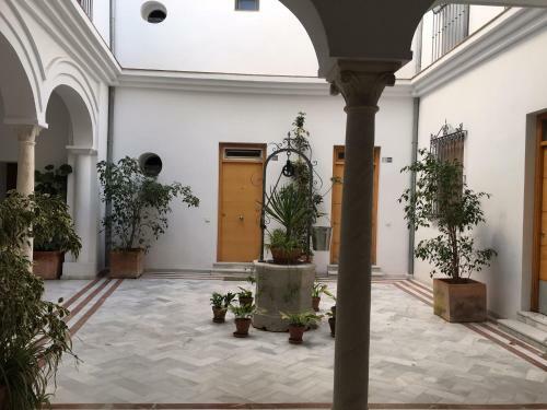 Apartamento Casa Palacio