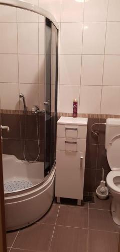 Apartman Jovanka 1
