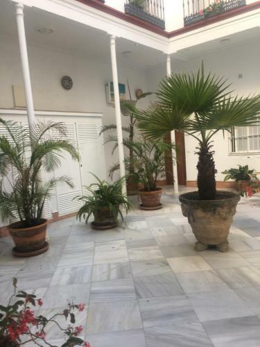 Apartamento Residencial Casa Palacio
