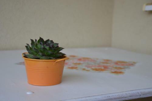 Apartman Biser