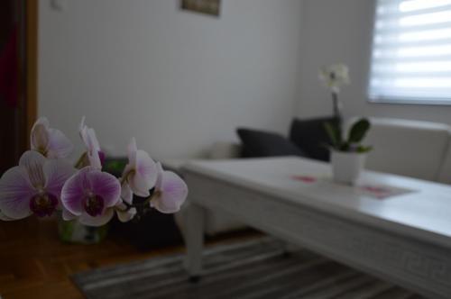 Apartman Biser