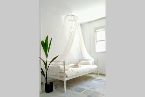 Central Apartment In Sanlucar