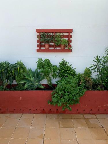 Apartamento Atico La Ilusion Con Parking