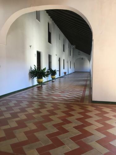 Apartamento Duplex Nuevo Convento Plaza Cabildo