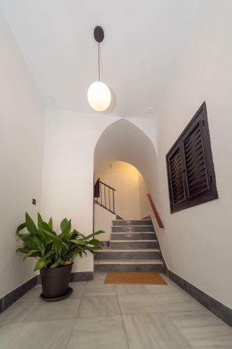 Apartamento Casa Miguel 5
