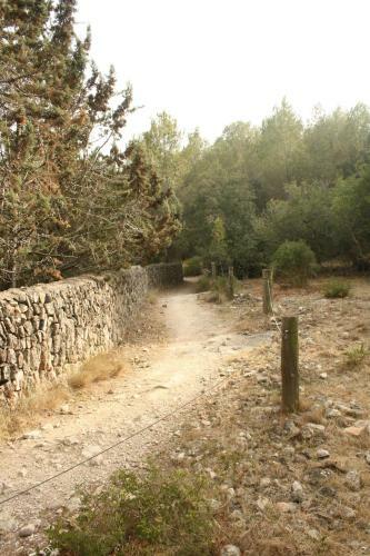 Apartamento R�stico Reformado Con Encanto (garraf)