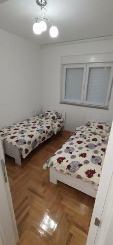 Leo Apartment