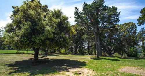 Apartamento Cova Safaja