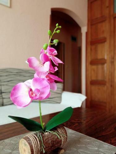 Apartments Ukropina