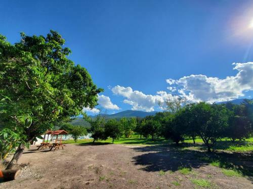 Hotel Los Laureles