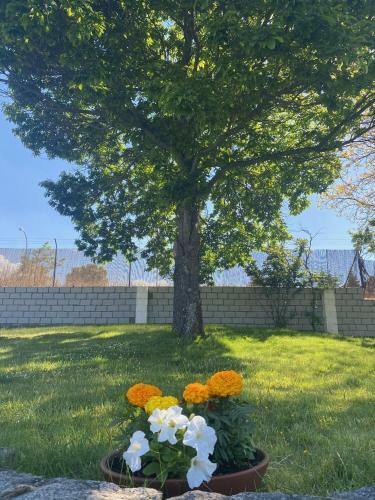 La Finca De Aurora