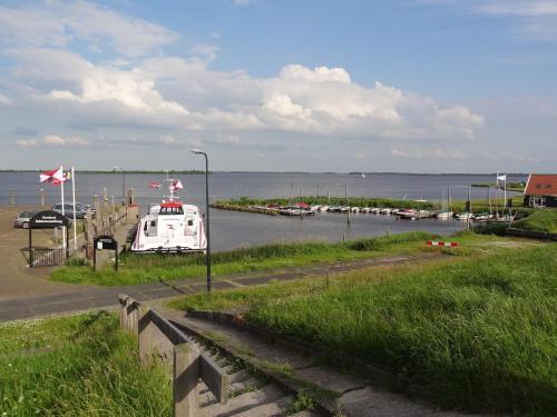 De Scholekster