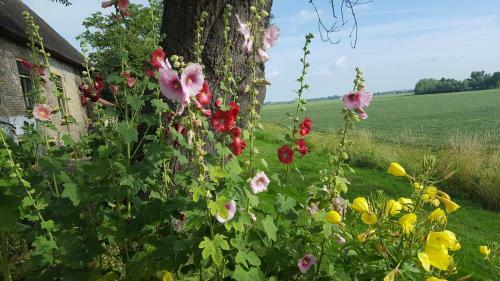 B&B Rechthuis Van Zouteveen