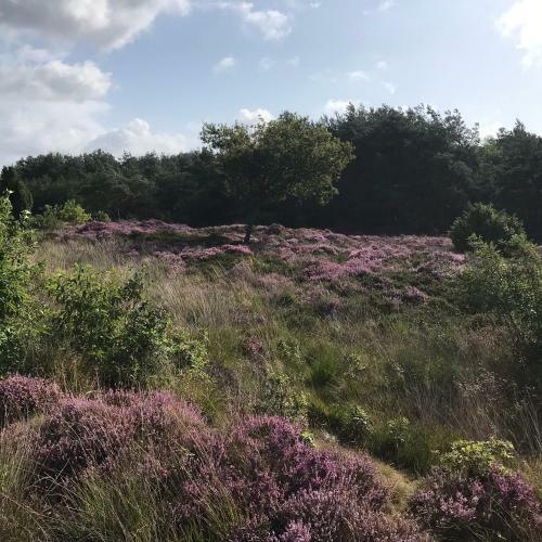 Hoeve Den Anholt