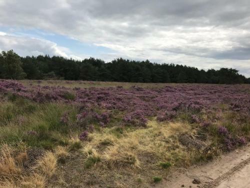 Hoeve Den Anholt