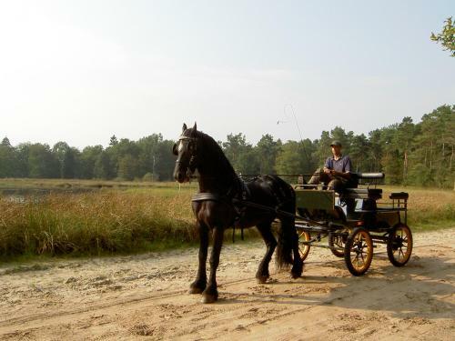 Hoeve Den Anholt
