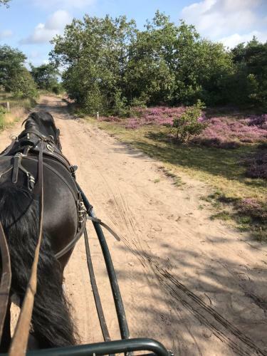 Hoeve Den Anholt