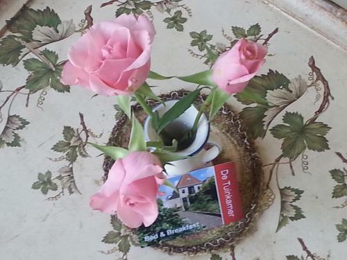 Bed & Breakfast De Tuinkamer