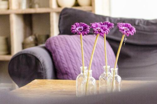 B&B De Remketting