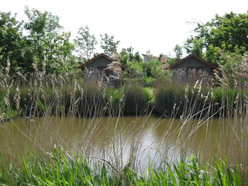 Bed And Breakfast De Zeehoeve