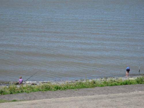 Bed And Breakfast De Zeehoeve