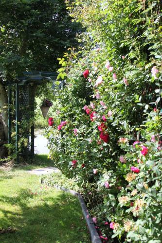 Bed & Breakfast B & B Zazza