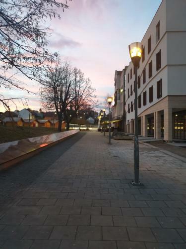 Apartman Viktoria
