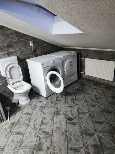 Apartamento Alpha