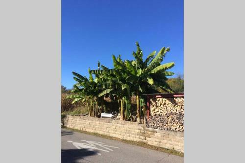 Apartment In Gr�ner Umgebung-eg