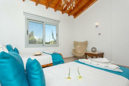 Villa Stone House