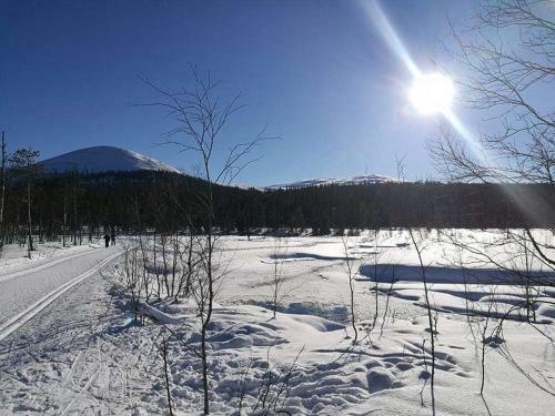 Apartamento Lake Kes�nki Cottage