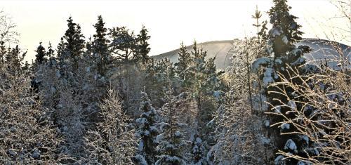 Apartamento Lapland Happiness Skistar 201
