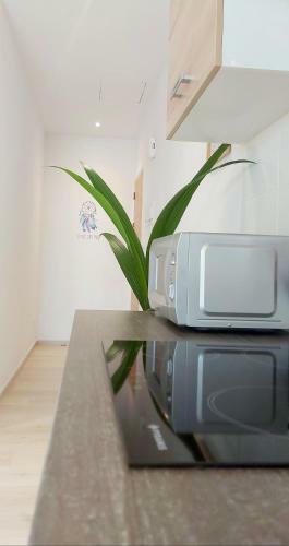 Blissful Dreams Apartment
