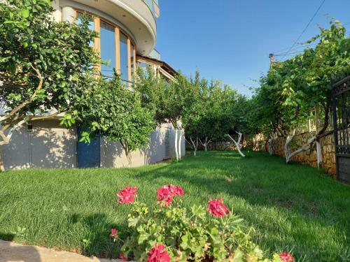 Hostal Shehu Guest House Ksamil