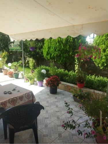 Hostal Villa Zyra