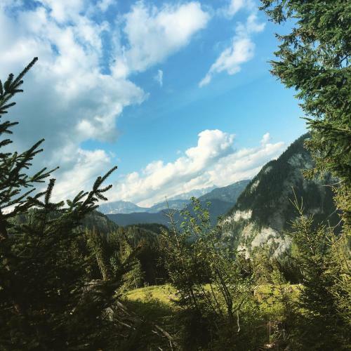 Chalet Franzi
