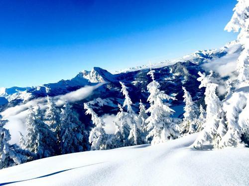 Chalet Franzi