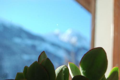 Chalet Franzi
