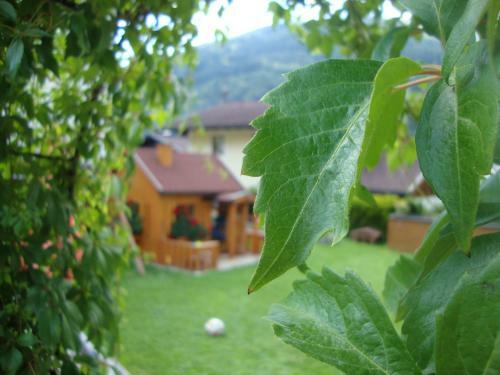 Apartamento Haus Schnepfleitner